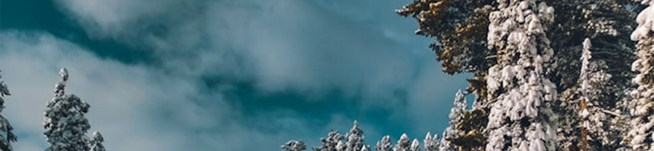 Gulmarg