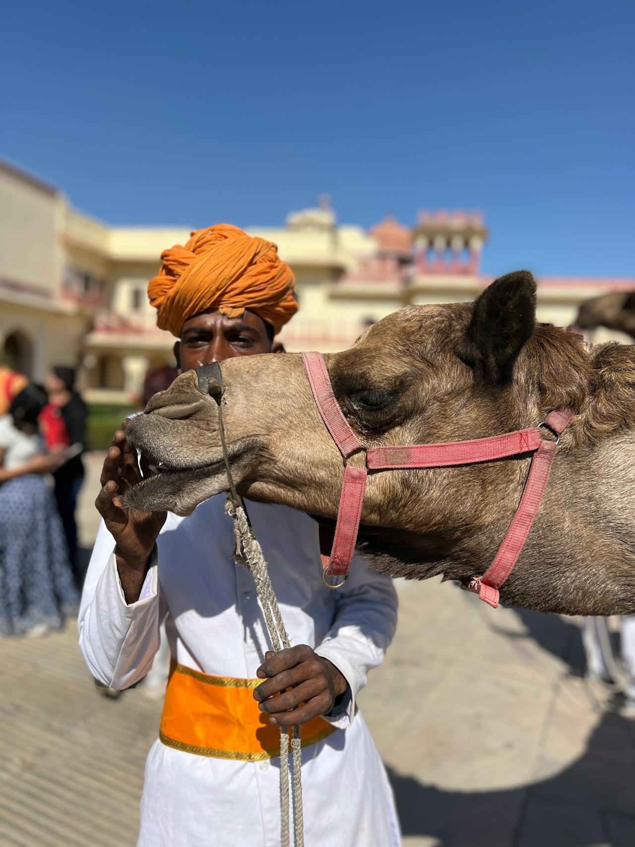 Royal Rajasthan – 10 Nights / 11 Days