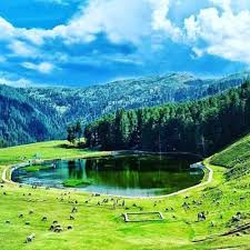 Patnitop